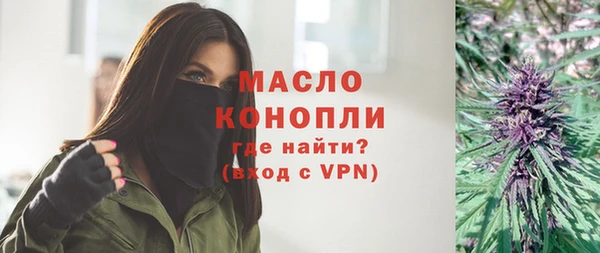 амф Ельня