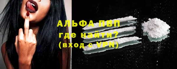 шишки Елизово