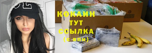 шишки Елизово
