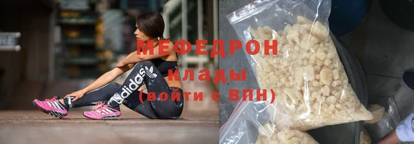 амф Ельня