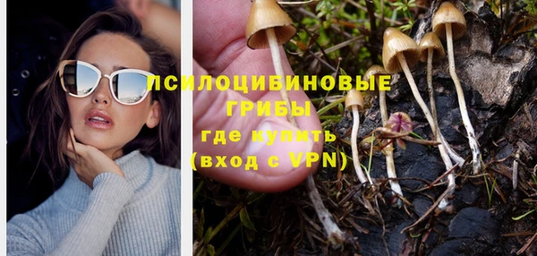 шишки Елизово