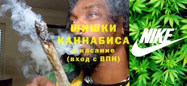шишки Елизово