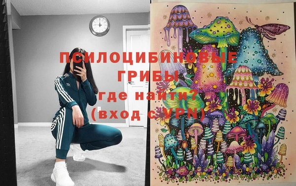 шишки Елизово