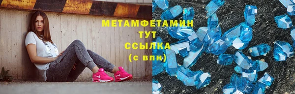 шишки Елизово