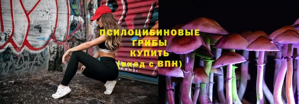 амф Ельня