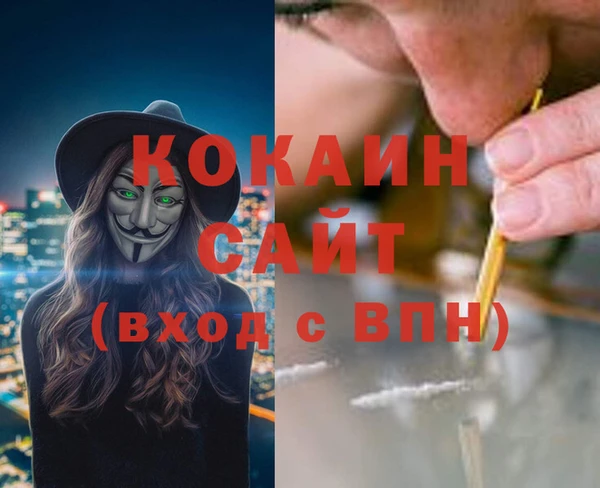 шишки Елизово