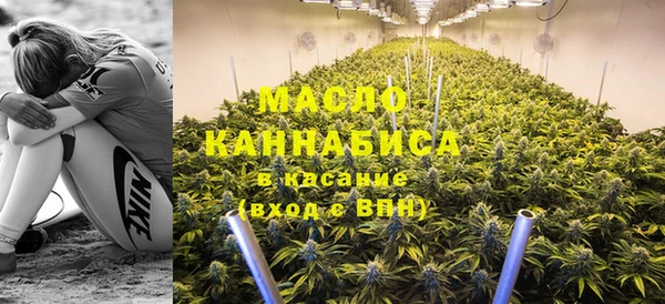 гидропоника Елабуга