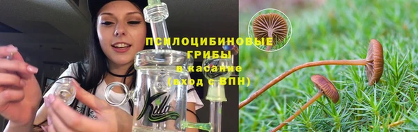 амф Ельня