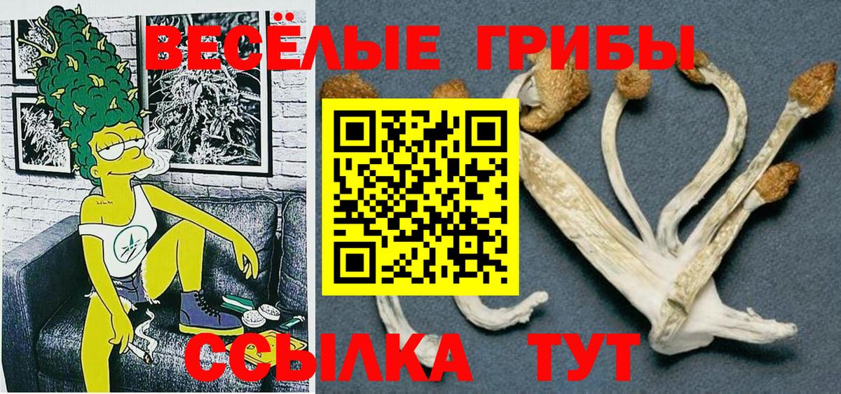 Зерноград  Псилоцибиновые грибы Psilocybine cubensis  Псилоцибиновые грибы мицелий  Вход с VPN 